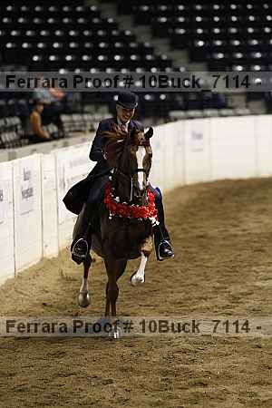 Proof 10buck_7114
