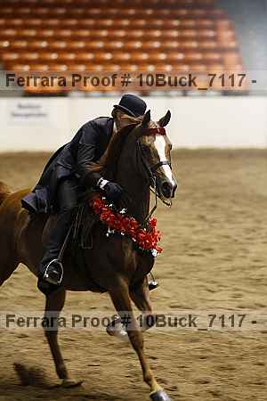 Proof 10buck_7117