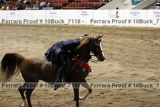 Proof 10buck_7118