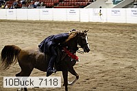 10buck_7118 proof