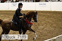 10buck_7119 proof