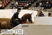 10buck_7120 proof