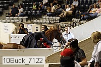 10buck_7122 proof