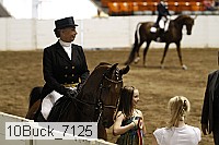 10buck_7125 proof