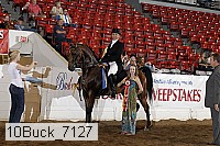 10buck_7127 proof