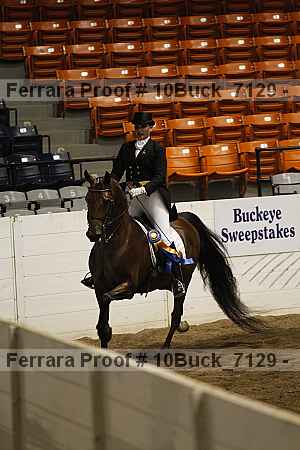 Proof 10buck_7129