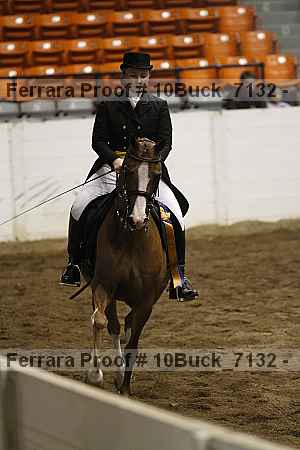 Proof 10buck_7132