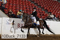 10buck_7133 proof