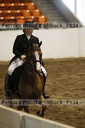Proof 10buck_7134