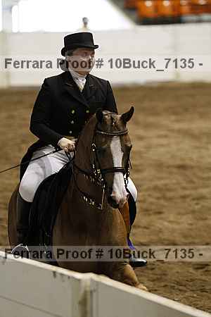 Proof 10buck_7135