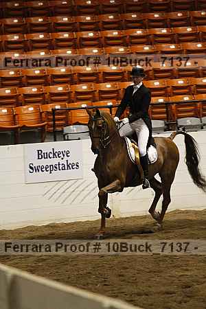 Proof 10buck_7137