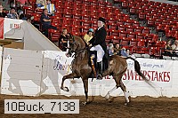 10buck_7138 proof
