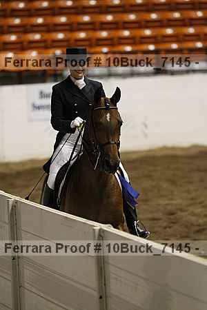Proof 10buck_7145