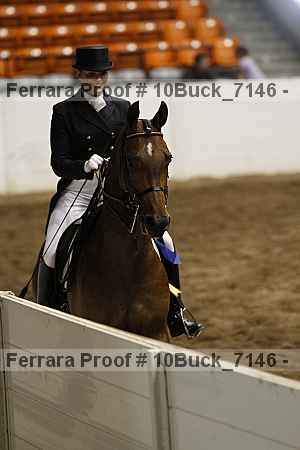 Proof 10buck_7146