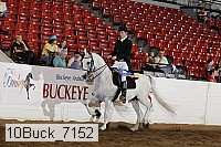 10buck_7152 proof