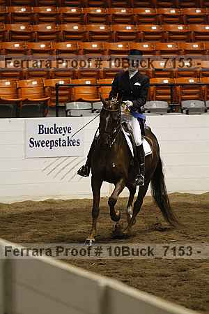 Proof 10buck_7153