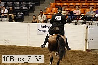 10buck_7163 proof