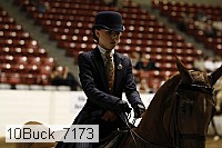 10buck_7173 proof