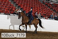 10buck_7179 proof
