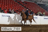 10buck_7181 proof