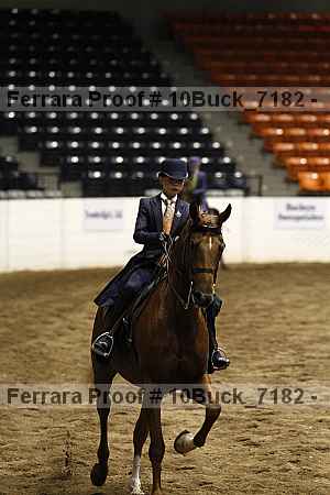 Proof 10buck_7182