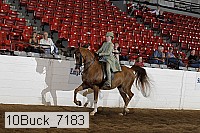 10buck_7183 proof