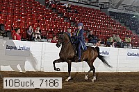 10buck_7186 proof