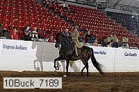 10buck_7189 proof