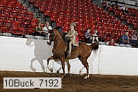 10buck_7192 proof