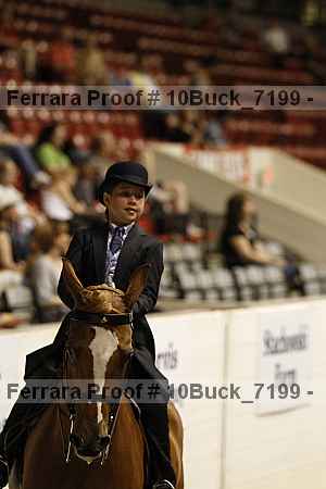 Proof 10buck_7199