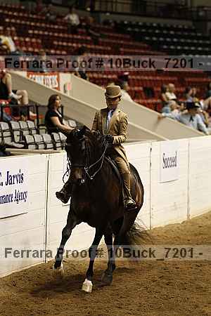 Proof 10buck_7201