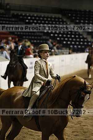 Proof 10buck_7202