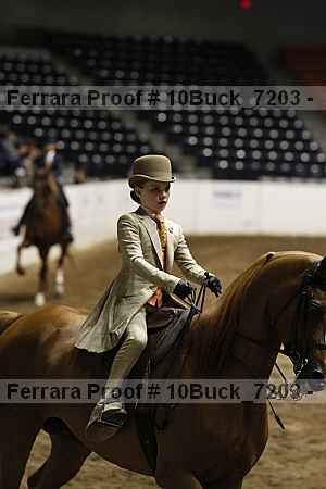 Proof 10buck_7203