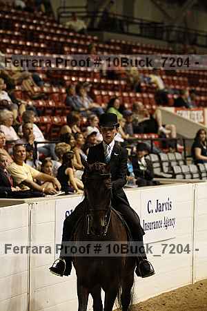 Proof 10buck_7204
