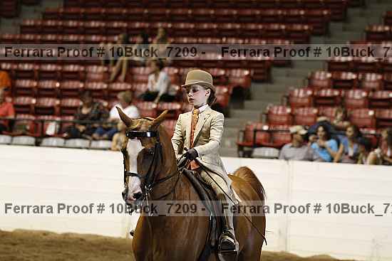 Proof 10buck_7209