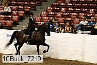 10buck_7219 proof