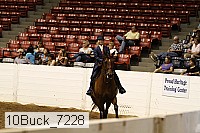 10buck_7228 proof