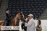 10buck_7230 proof