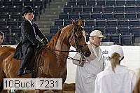 10buck_7231 proof