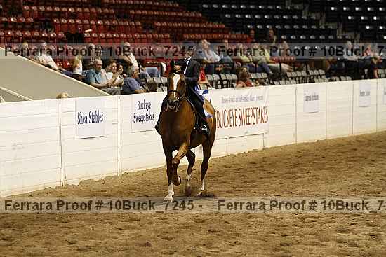 Proof 10buck_7245