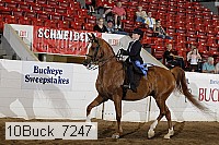10buck_7247 proof