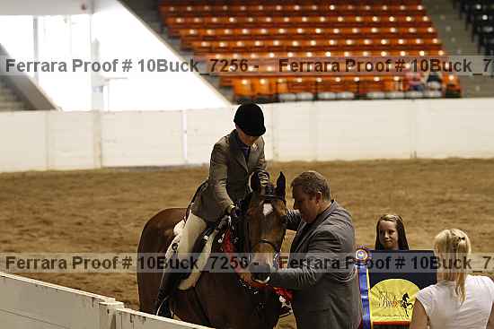 Proof 10buck_7256