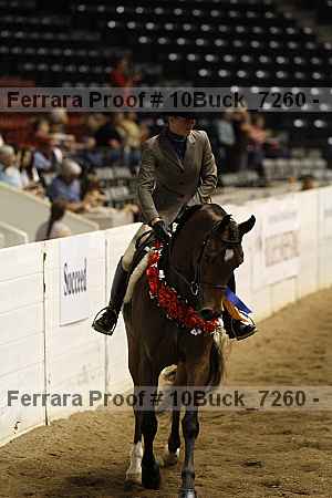 Proof 10buck_7260
