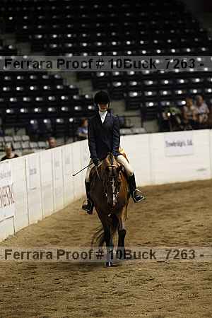Proof 10buck_7263