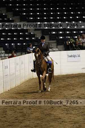 Proof 10buck_7265