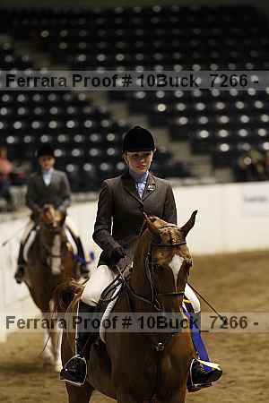 Proof 10buck_7266