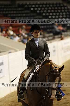 Proof 10buck_7268