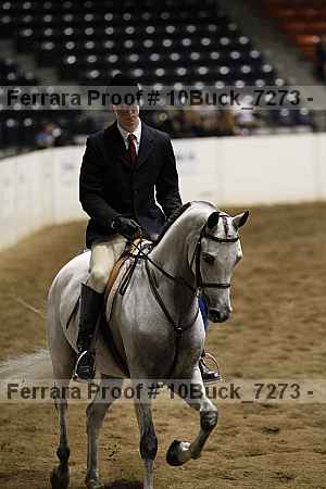 Proof 10buck_7273