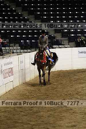 Proof 10buck_7277