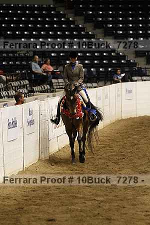 Proof 10buck_7278
